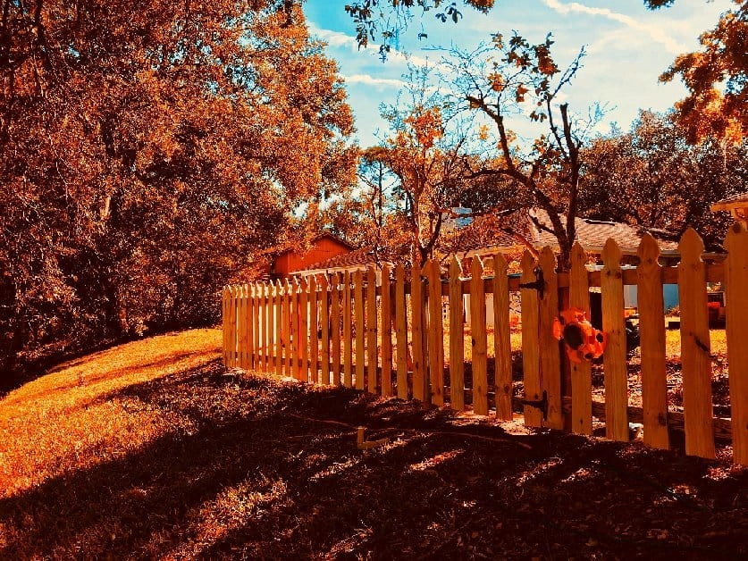 Wood Picket Fence
